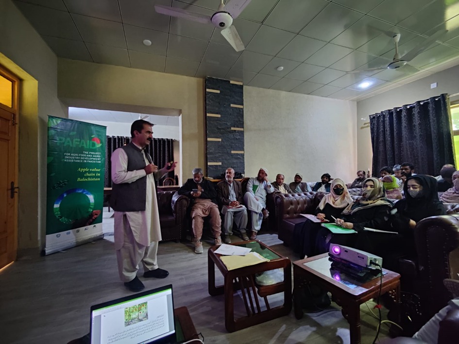 New Techniques and Technologies on Pre-processing and Processing of Apple