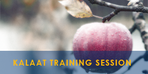 New Techniques and Technologies on Pre-processing and Processing of Apple